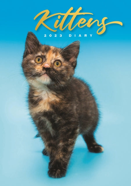 Kittens A5 Diary 2023-9781529824759