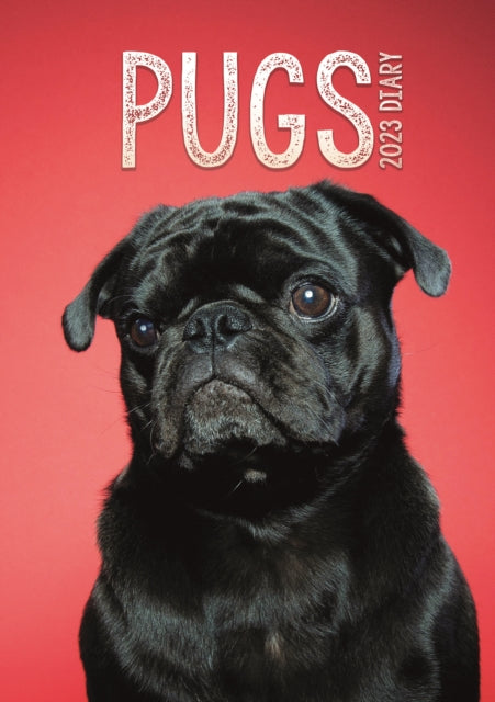 Pugs A5 Diary 2023-9781529824872