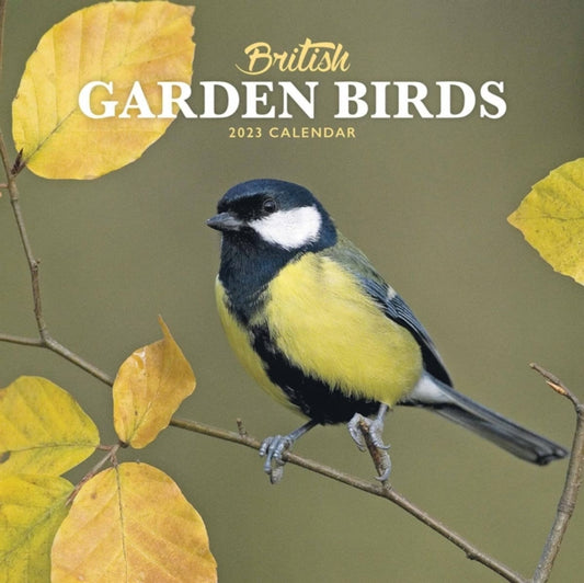 British Garden Birds Mini Square Wall Calendar 2023-9781529825183
