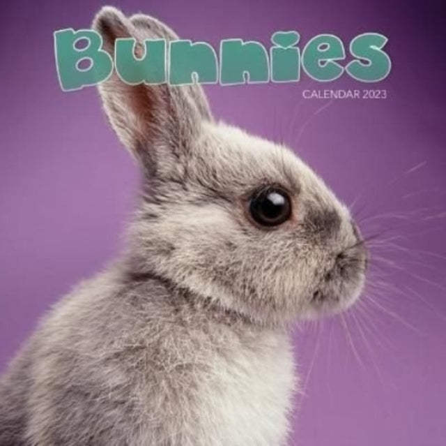 Bunnies Mini Square Wall Calendar 2023-9781529825213