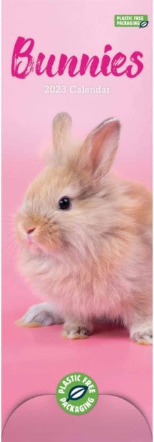 Bunnies Slim Calendar 2023-9781529825312