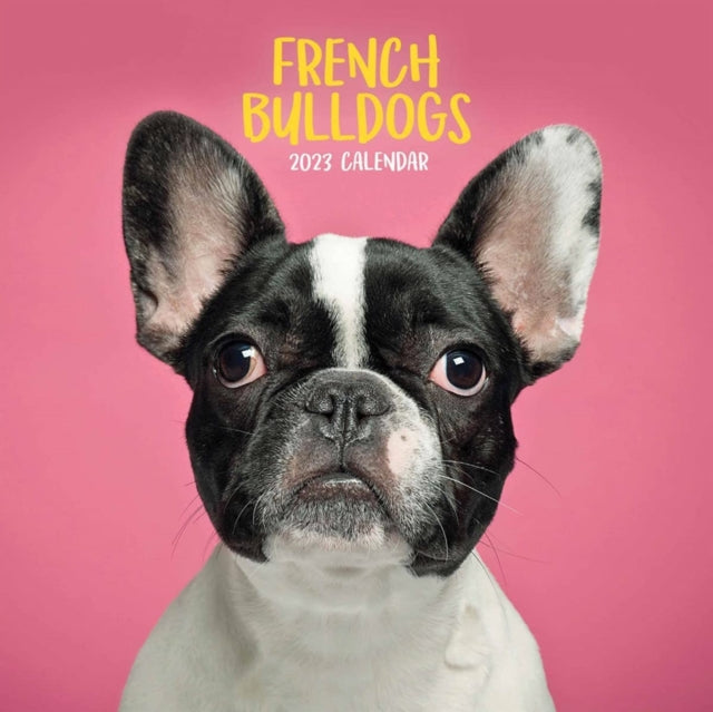French Bulldogs Mini Square Wall Calendar 2023-9781529825329