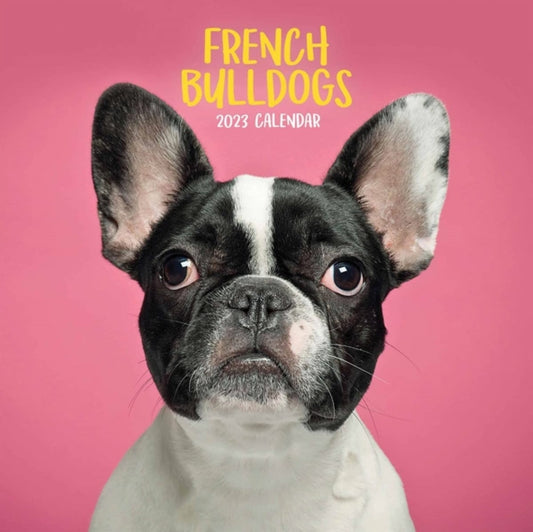 French Bulldogs Mini Square Wall Calendar 2023-9781529825329