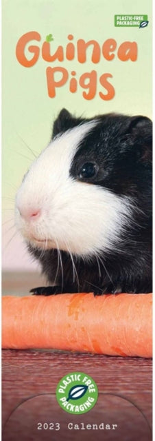 Guinea Pigs Slim Calendar 2023-9781529825350