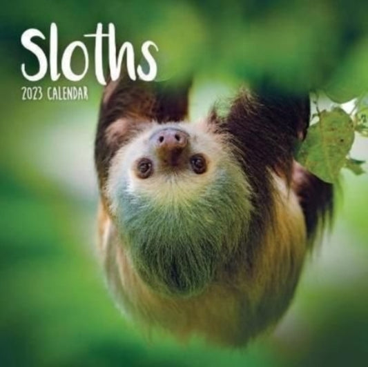 Sloths Mini Square Wall Calendar 2023-9781529825664
