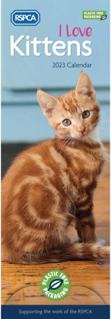 I Love Kittens, RSPCA Slim Calendar 2023-9781529825671