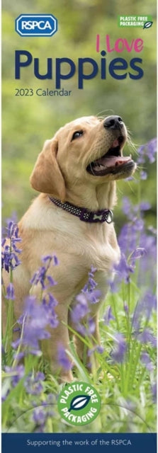 I Love Puppies, RSPCA Slim Calendar 2023-9781529825688