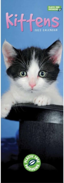 Kittens Slim Calendar 2023-9781529825701