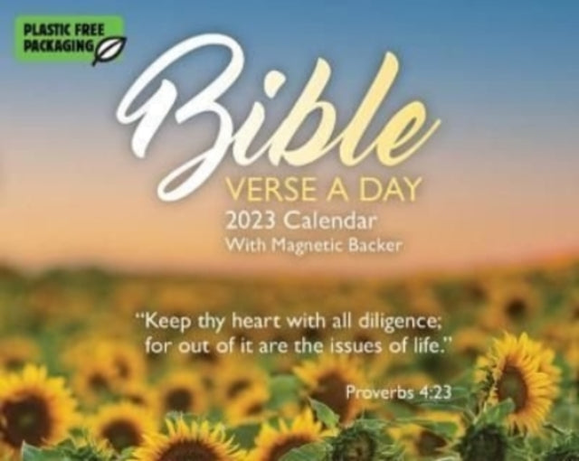 Bible Verse a Day Mini Box Calendar 2023-9781529825886