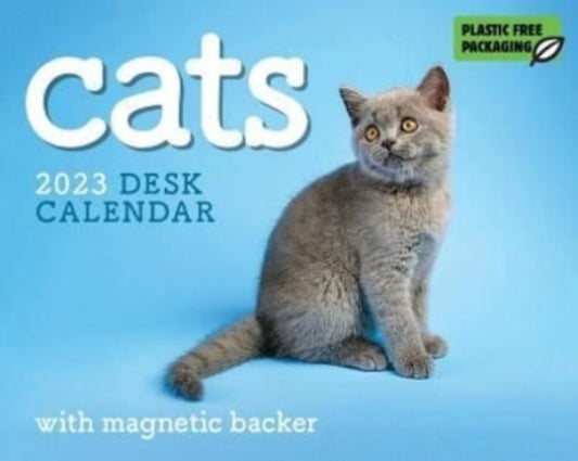Cats Mini Box Calendar 2023-9781529825893