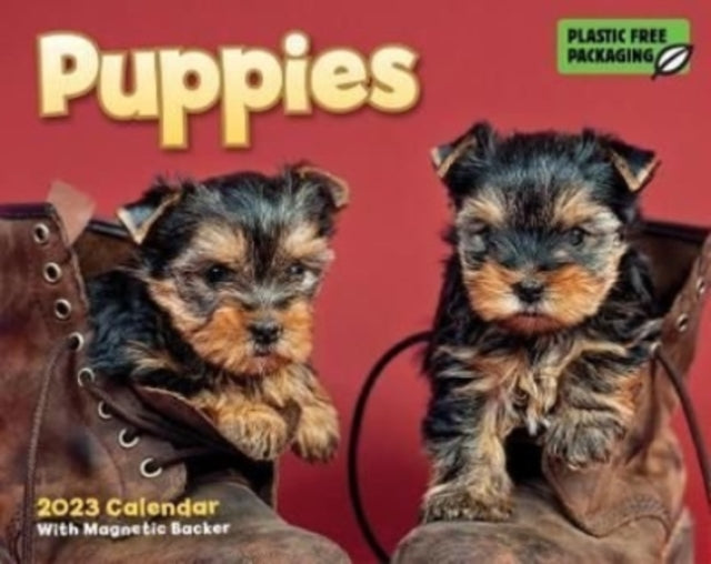 Puppies Mini Box Calendar 2023-9781529825916