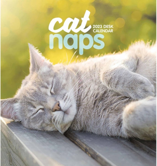 Cat Naps Easel Desk Calendar 2023-9781529825985