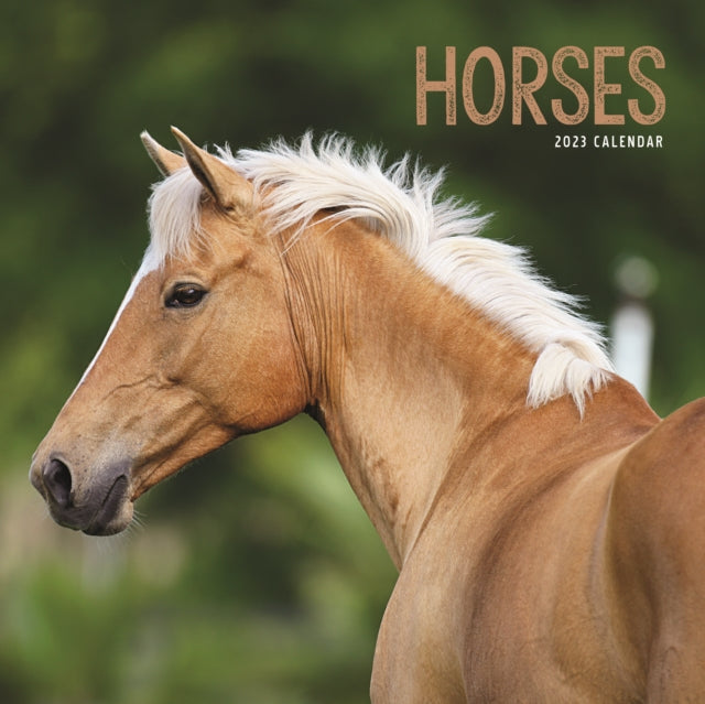 Horses Square Wiro Wall Calendar 2023-9781529826364