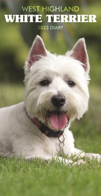 West Highland White Terriers Slim Diary 2023-9781529827194
