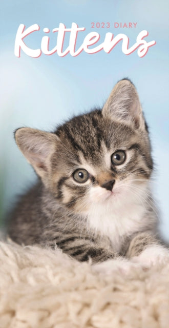 Kittens Slim Diary 2023-9781529827200