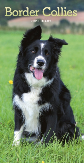 Border Collies Slim Diary 2023-9781529827217