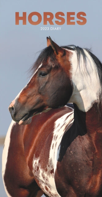 Horses Slim Diary 2023-9781529827224