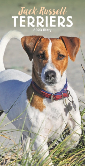 Jack Russell Terriers Slim Diary 2023-9781529827286