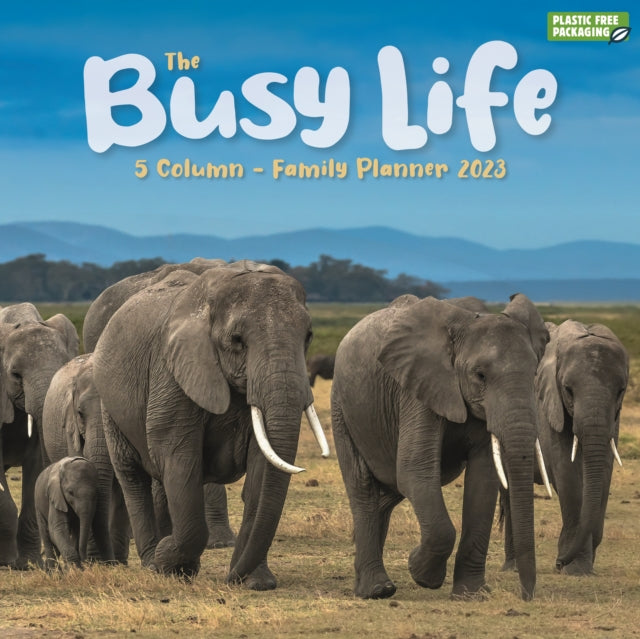 Busy Life Square Wall Calendar 2023-9781529827910