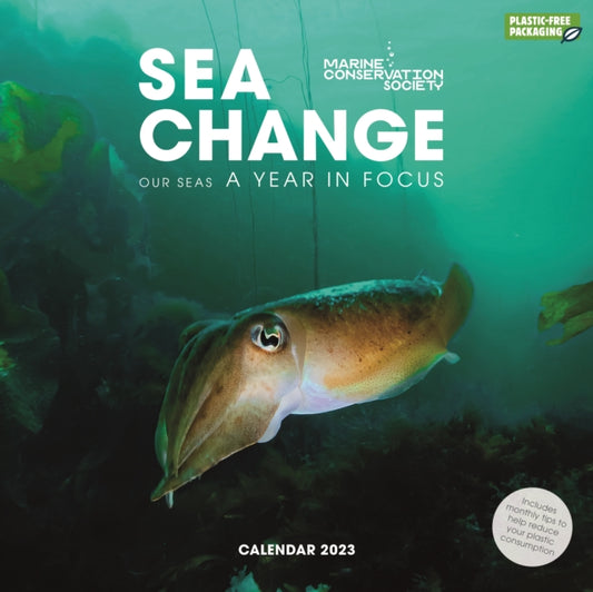 Sea Change, Marine Conservation Society Square Wall Calendar 2023-9781529827972