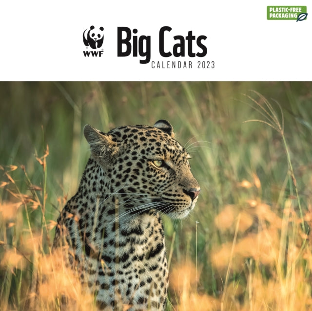 WWF, Big Cats Square Wall Calendar 2023-9781529828917