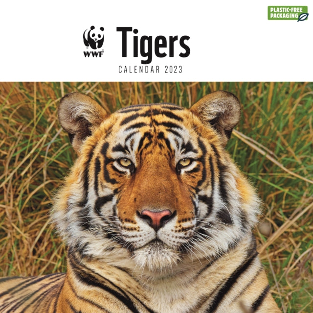 WWF Tigers Square Wall Calendar 2023-9781529828931