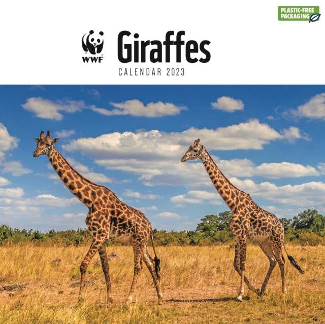 WWF Giraffes Square Wall Calendar 2023-9781529828955