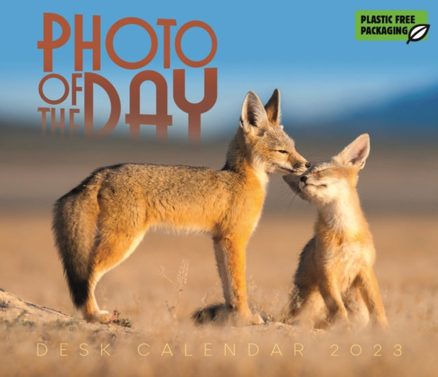 Photo of the Day Box Calendar 2023-9781529828962