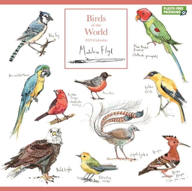 Madeleine Floyd, Birds of the World Square Wall Calendar 2023-9781529829495