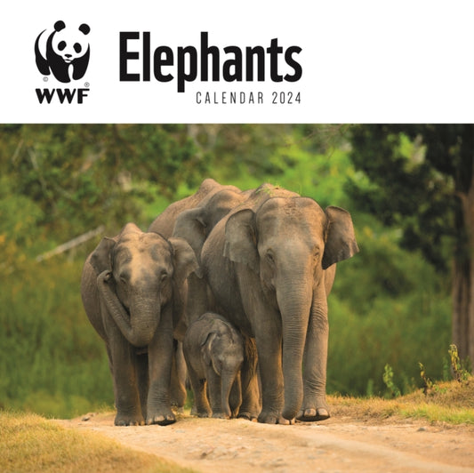 WWF Elephants Square Wall Calendar 2024-9781529833225