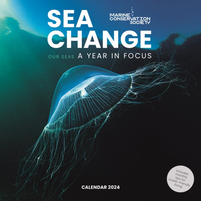 Sea Change, Marine Conservation Society Square Wall Calendar 2024-9781529834987