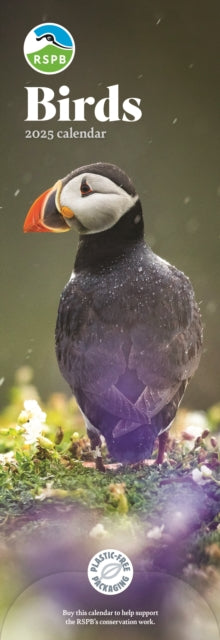 RSPB Birds Slim Calendar 2025-9781529841466