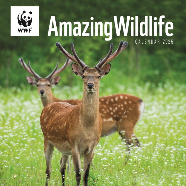 WWF Amazing Wildlife Square Wall Calendar 2025-9781529841817