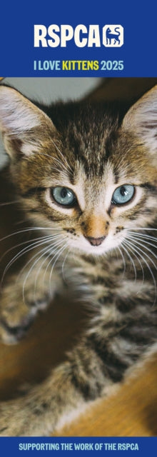RSPCA I Love Kittens Slim Calendar 2025-9781529843170