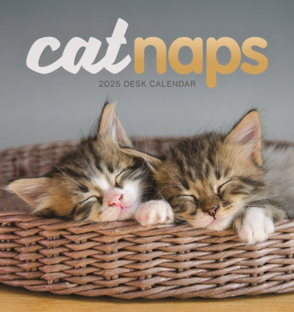 Cat Naps Easel Desk Calendar 2025-9781529843415