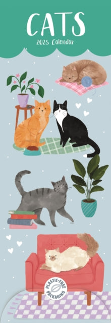Cats Illustrated Slim Calendar 2025-9781529843774