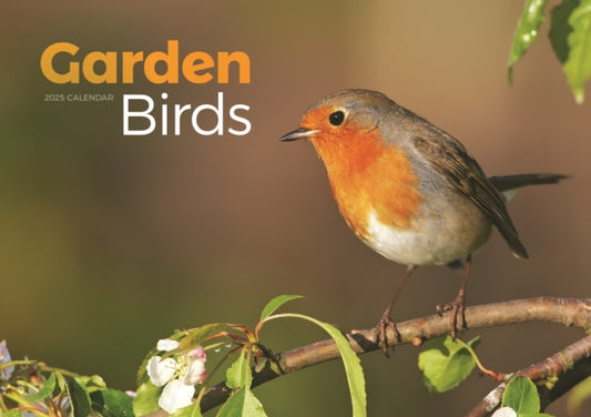 Garden Birds A4 Calendar 2025-9781529844542