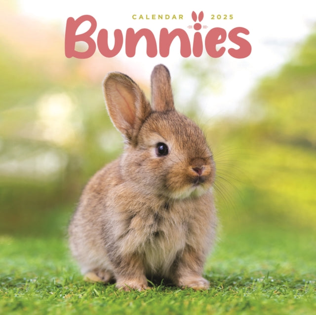 Bunnies Square Mini Calendar 2025-9781529844665