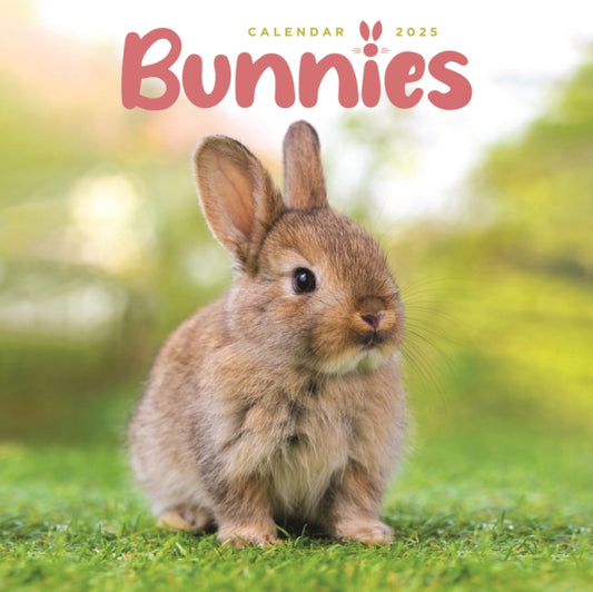 Bunnies Square Mini Calendar 2025-9781529844665