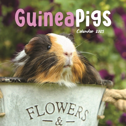 Guinea Pigs Square Mini Calendar 2025-9781529844740