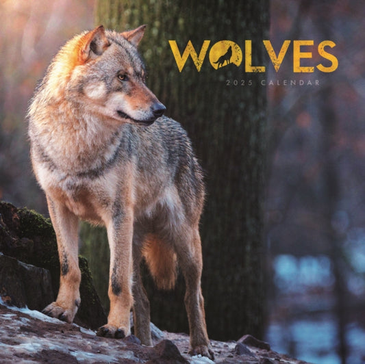 Wolves Square Mini Calendar 2025-9781529844863