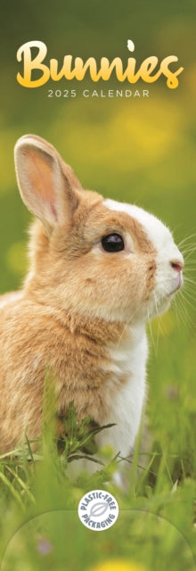 Bunnies Slim Calendar 2025-9781529844979
