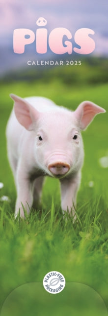 Pigs Slim Calendar 2025-9781529845013