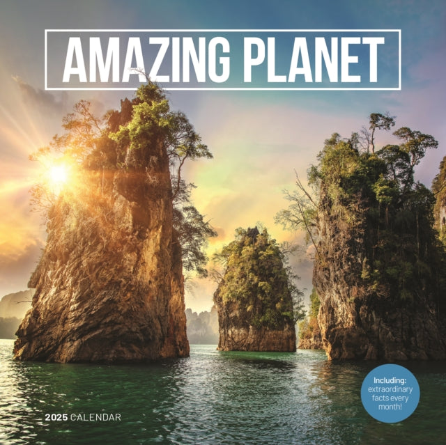 Amazing Planet Square Wall Calendar 2025-9781529845068