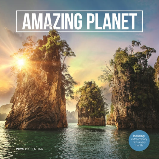 Amazing Planet Square Wall Calendar 2025-9781529845068