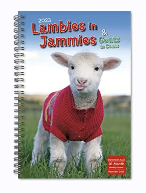 LAMBIES IN JAMMIES GOATS IN COATS-9781531917555