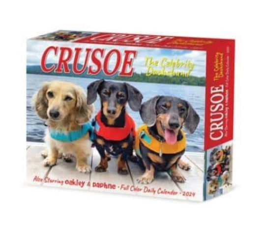 Crusoe the Celebrity Dachshund 2024 6.2 X 5.4 Box Calendar-9781549236280