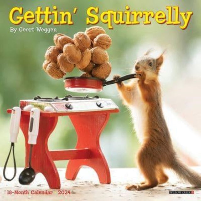 Gettin' Squirrelly 2024 7 X 7 Mini Wall Calendar-9781549236778