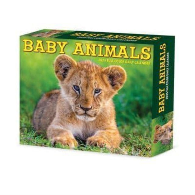 Baby Animals 2025 6.2 X 5.4 Box Calendar-9781549240607