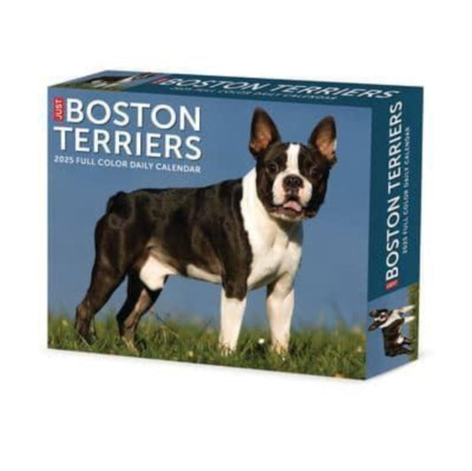 Boston Terriers 2025 6.2 X 5.4 Box Calendar-9781549240683